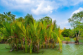 sundarban Natural